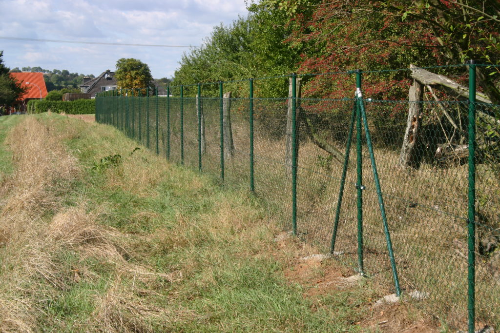 Grüner Maschendrahtzaun